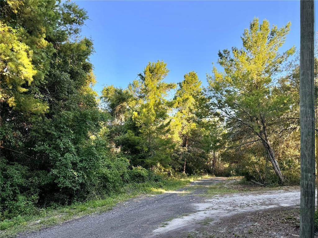 Philadelphia Avenue - Photo 1