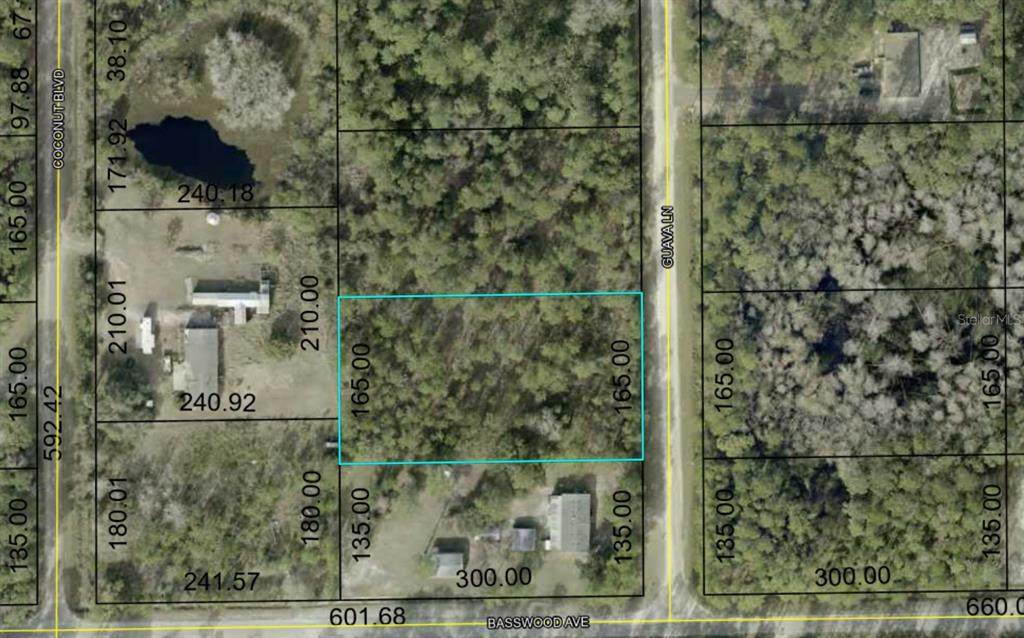 2370 Guava Lane - Photo 1
