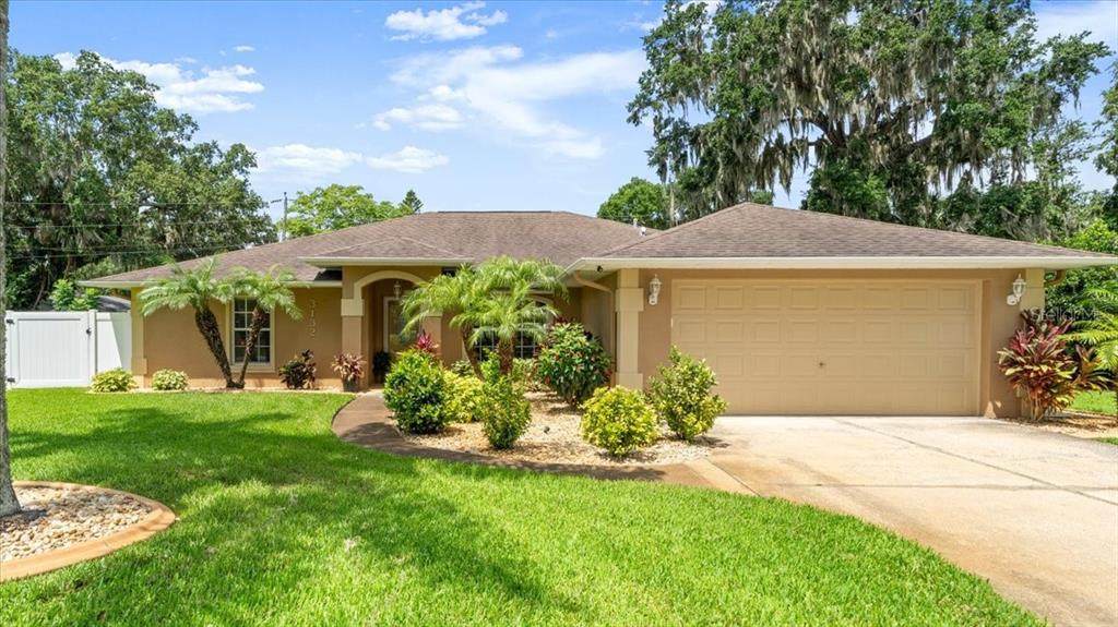 3132 Mango Tree Drive - Photo 1