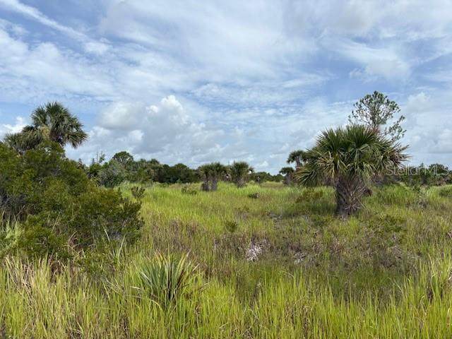 2934 Wakow Circle - Photo 1