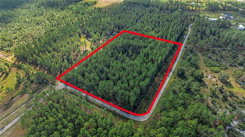 2 Wild Cur Road - Photo 1