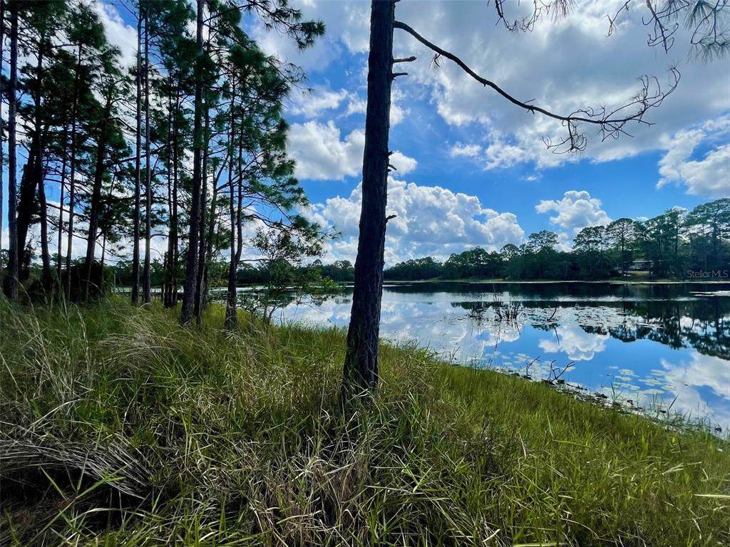 42318 Lake Road - Photo 1