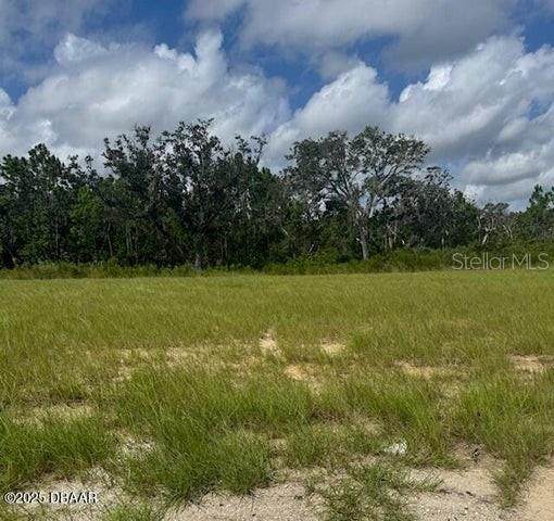 93 Coronado Road - Photo 1