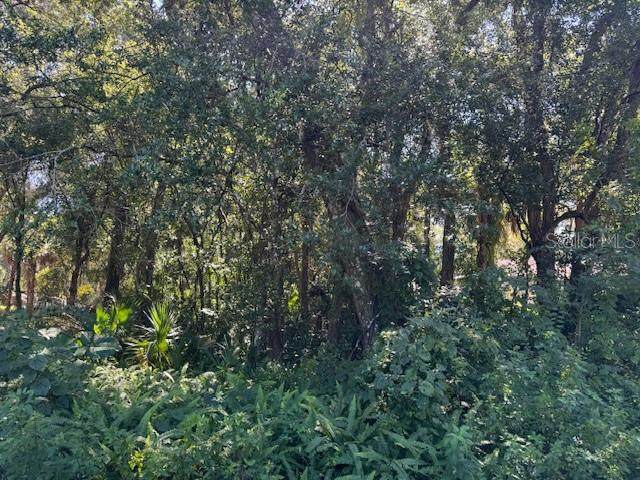 0 E French Avenue - Photo 1