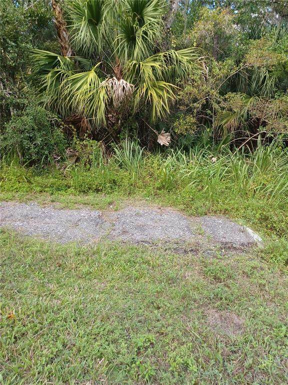  Lake Harney Road - Photo 1