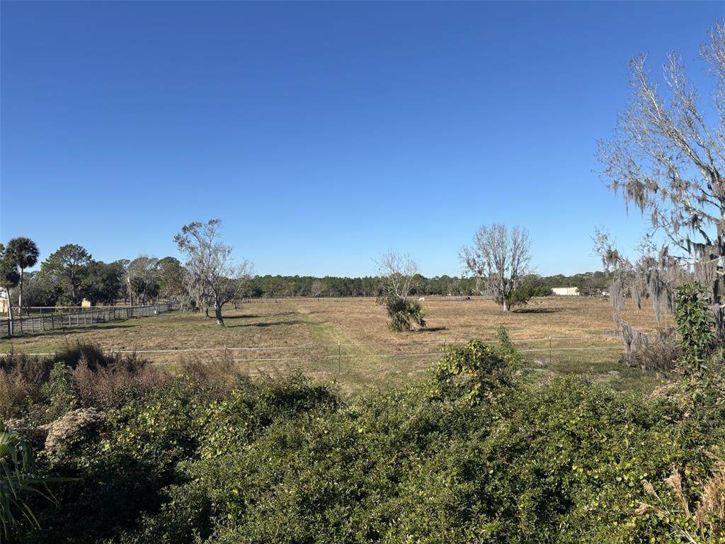  Tomoka Farms Road - Photo 1