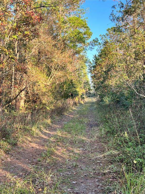  University Highlands/ Deland Crossings - Photo 1