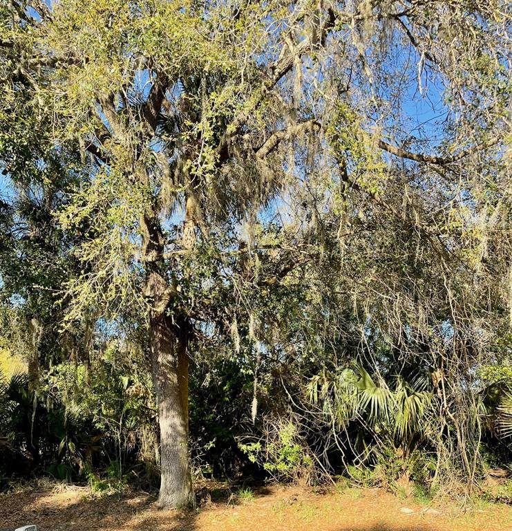  Osteen Maytown Road - Photo 1