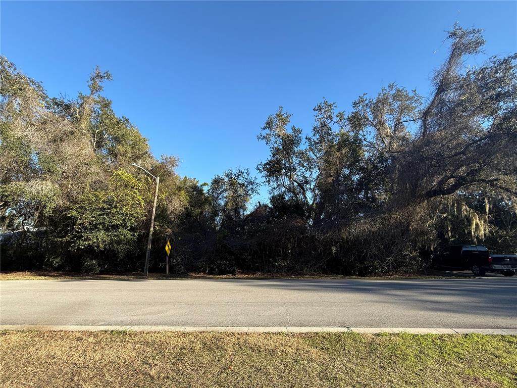 740 Old Treeline Trail - Photo 1