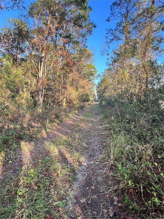  University Highlands/ Deland Crossings - Photo 1