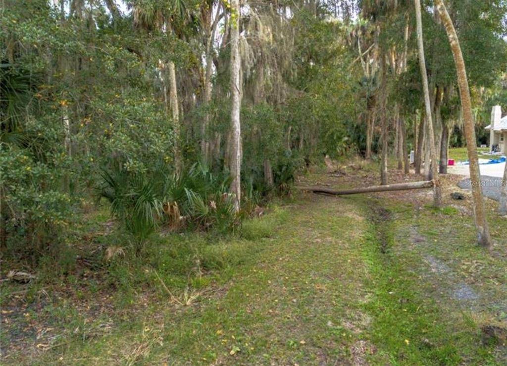  Park Trail - Photo 1