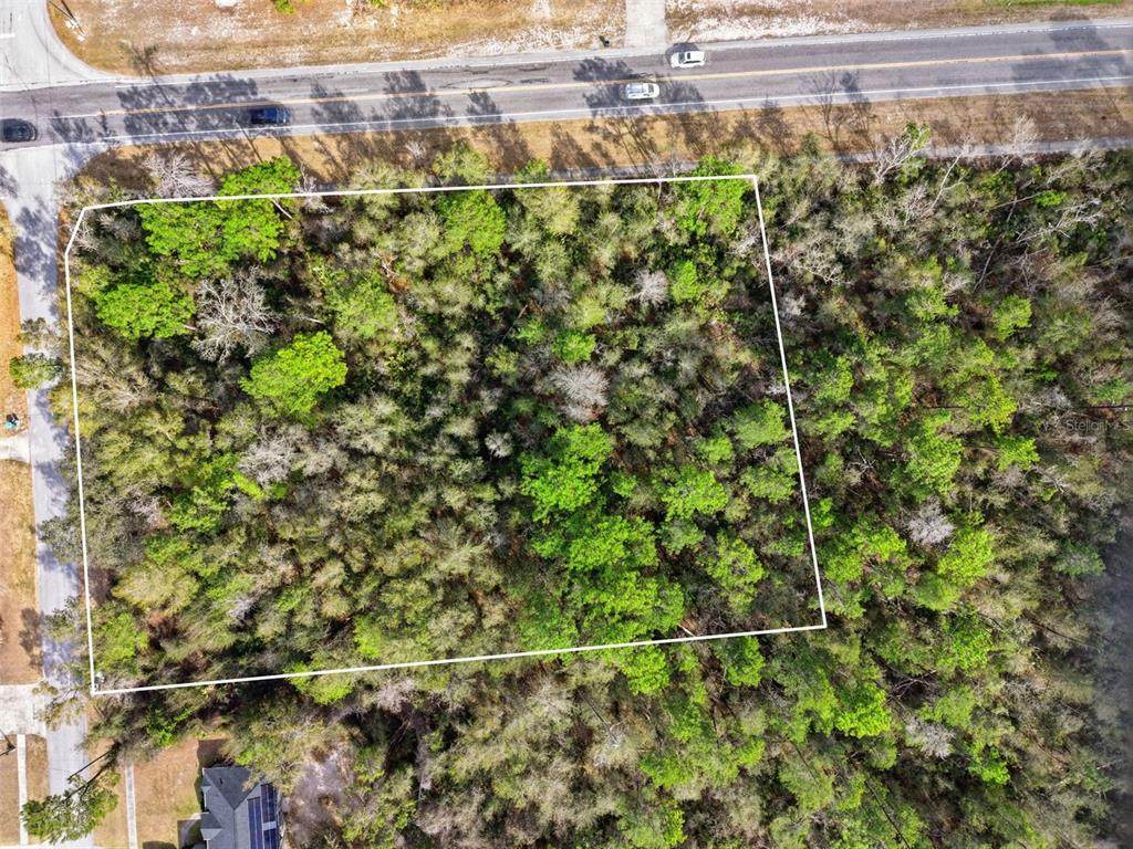 0 Lake Helen Osteen Road - Photo 1