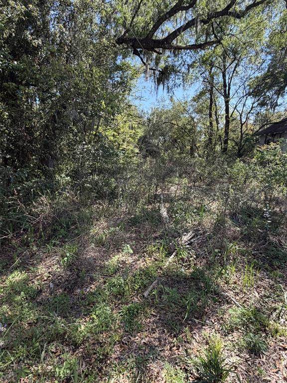 110 Mercers Fernery Road - Photo 1