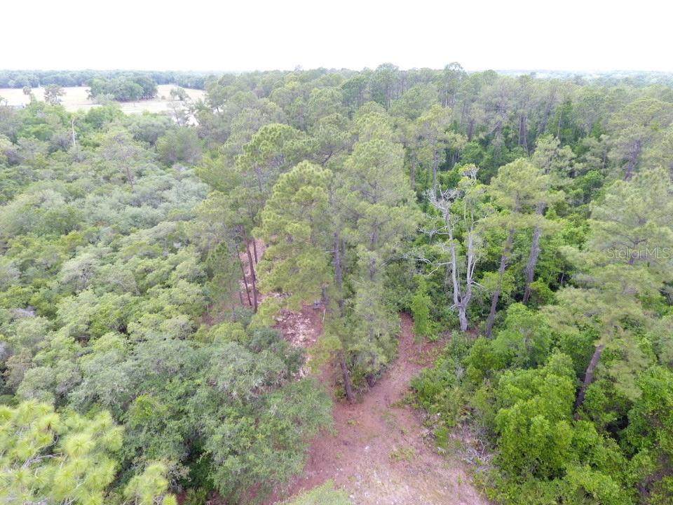 161 Snake Hill Road - Photo 1
