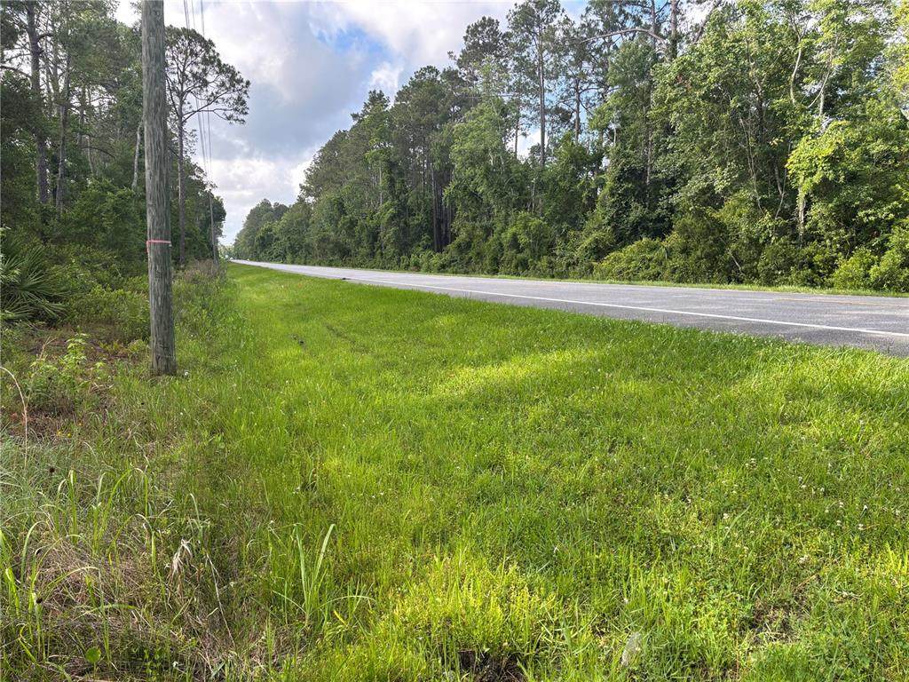 0 N Us Hwy 17 - Photo 1