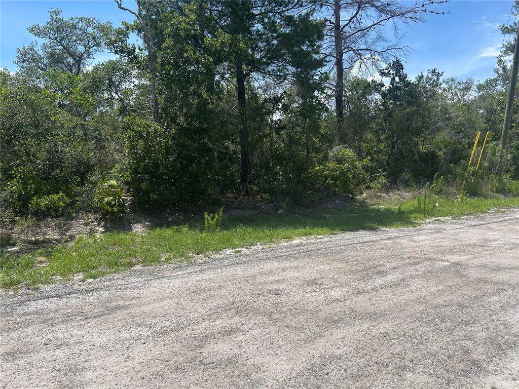  Waldor Avenue - Photo 1