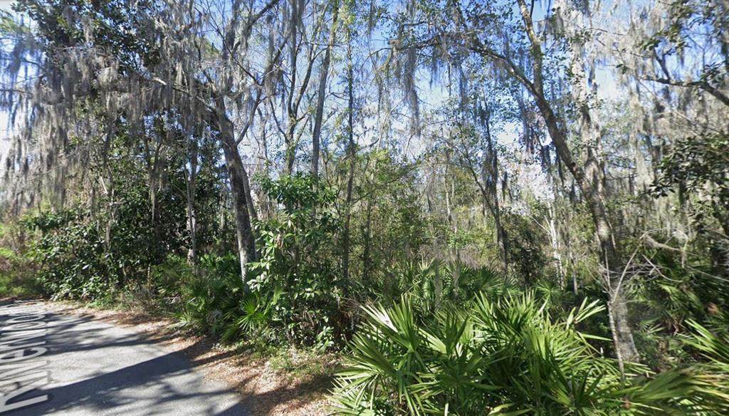  Riverwood Drive - Photo 1