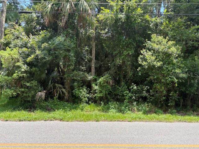 2263 Hontoon Road - Photo 1