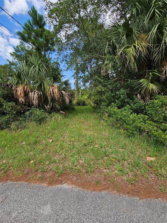 1715 Tatum Boulevard - Photo 1