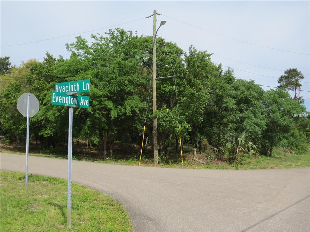 2335 Hyacinth Lane - Photo 1