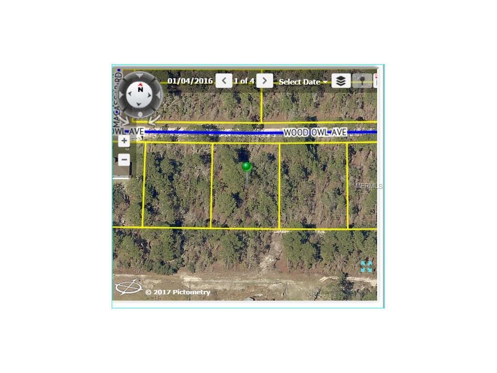 11270 Wood Owl Avenue - Photo 1