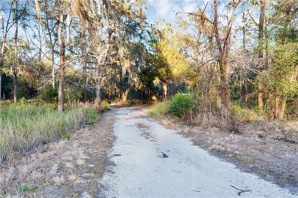 Cortez Boulevard - Photo 1
