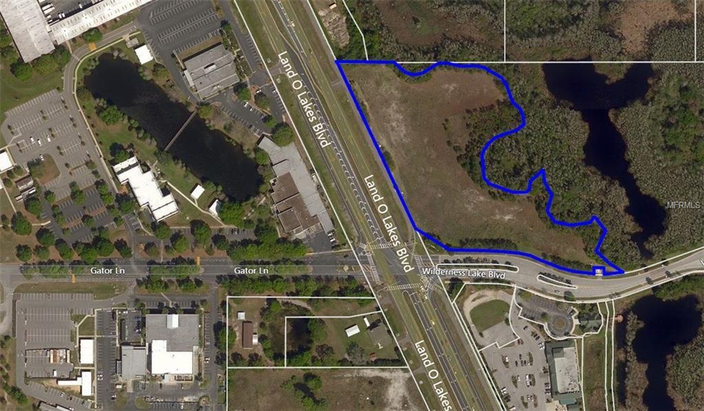 7140 Land O Lakes Boulevard - Photo 1