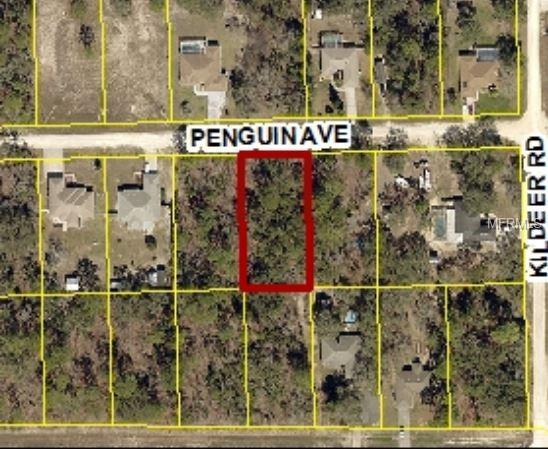 12066 Penguin Avenue - Photo 1