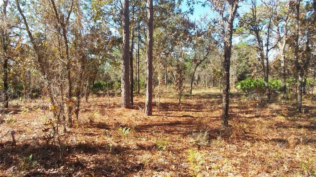 16409 Crane Road - Photo 1
