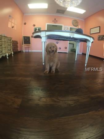 30120 State Road 54 - Photo 1