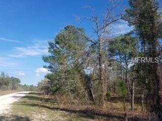 00 Sheldrake Loop - Photo 1