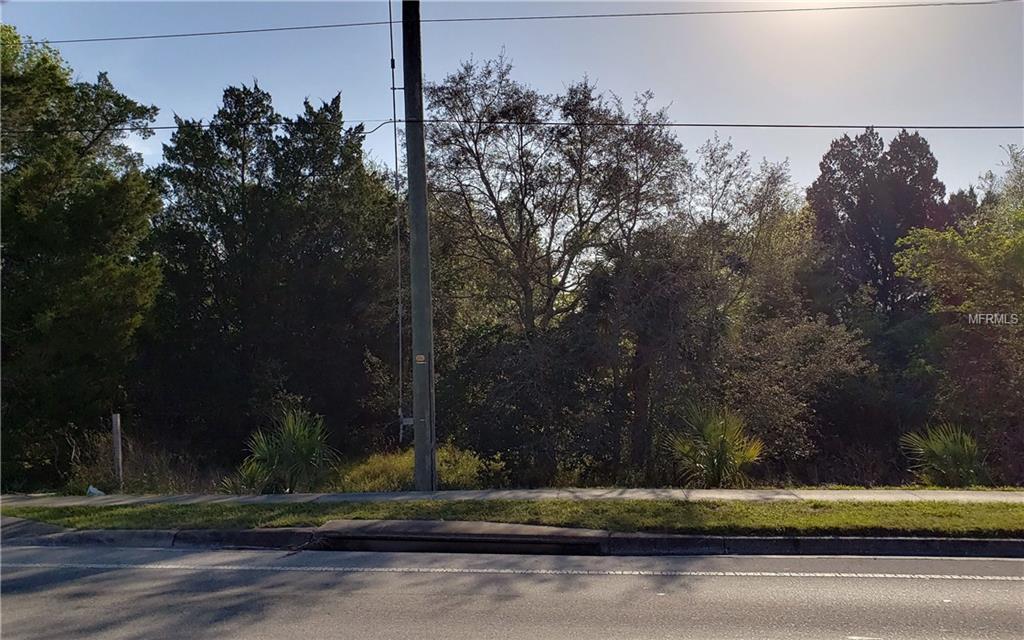 10912 Little Road - Photo 1