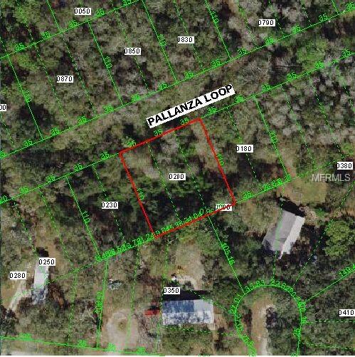 12456 Pallanza Loop - Photo 1