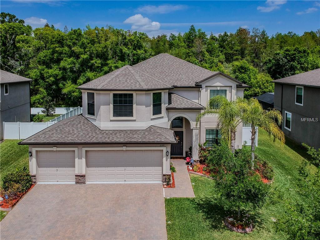 12391 Crestridge Loop - Photo 1