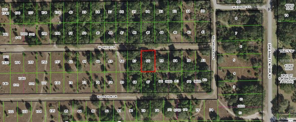 8160 Gayle Lane - Photo 1