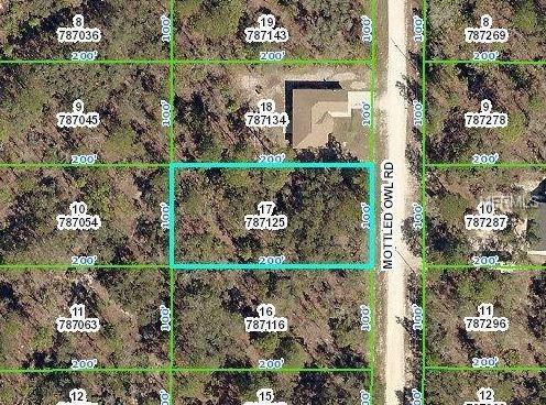 15235 Mottled Owl Road - Photo 1