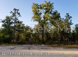0 Parsley Avenue - Photo 1