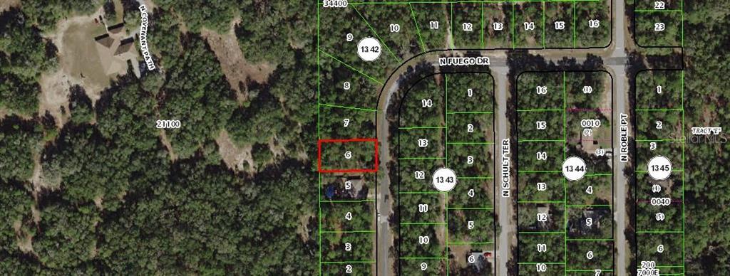 11304 Fuego Drive - Photo 1