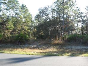 00 Wolf Den Road - Photo 1