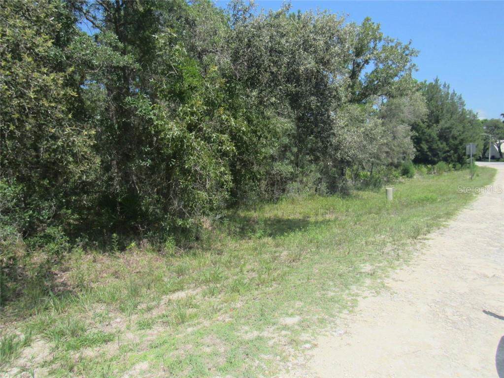 9147 Bunting Road - Photo 1