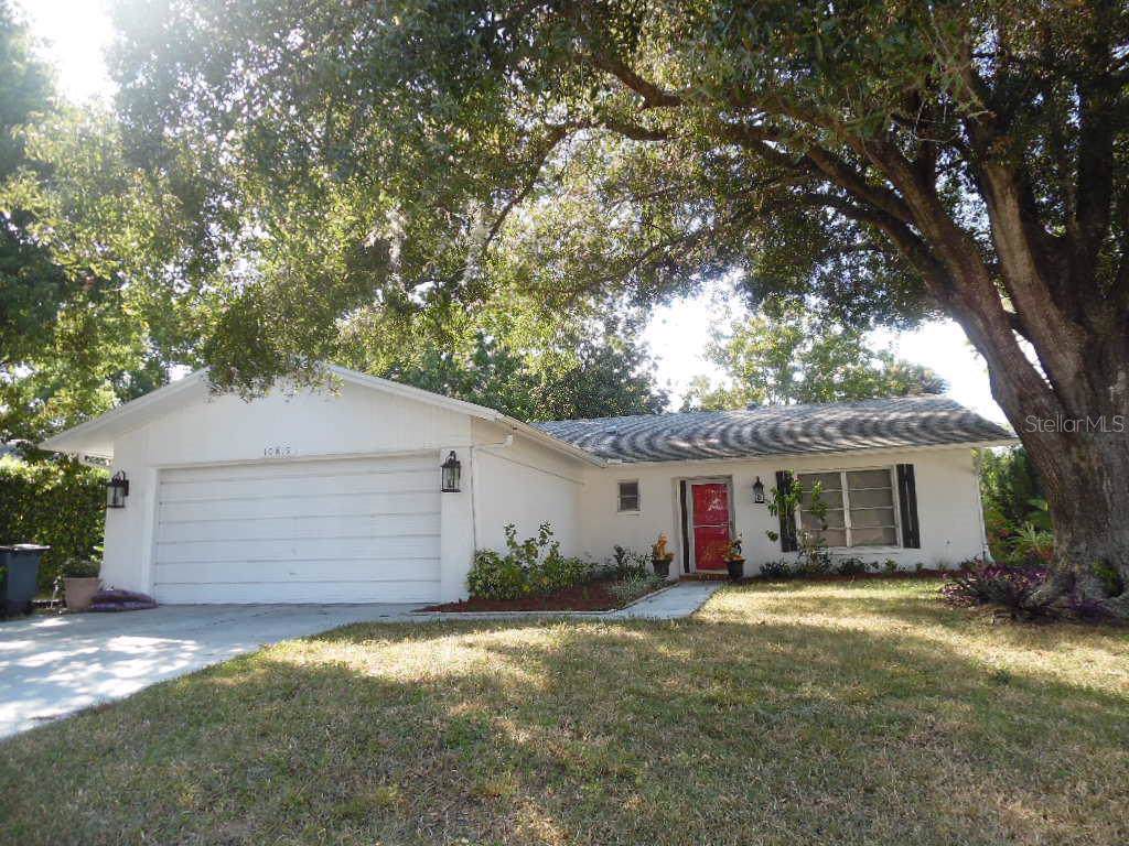 10819 Hachita Drive - Photo 1