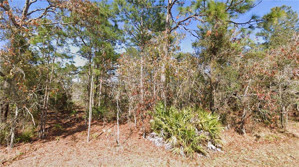 11313 Fool Duck Avenue - Photo 1