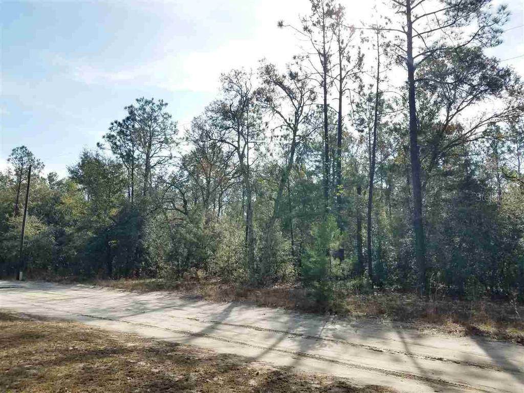 Burnside Road - Photo 1