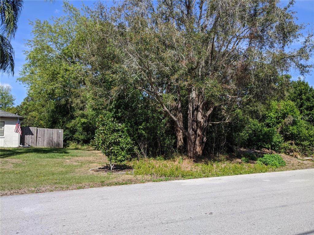 1173 Nemo Lane - Photo 1