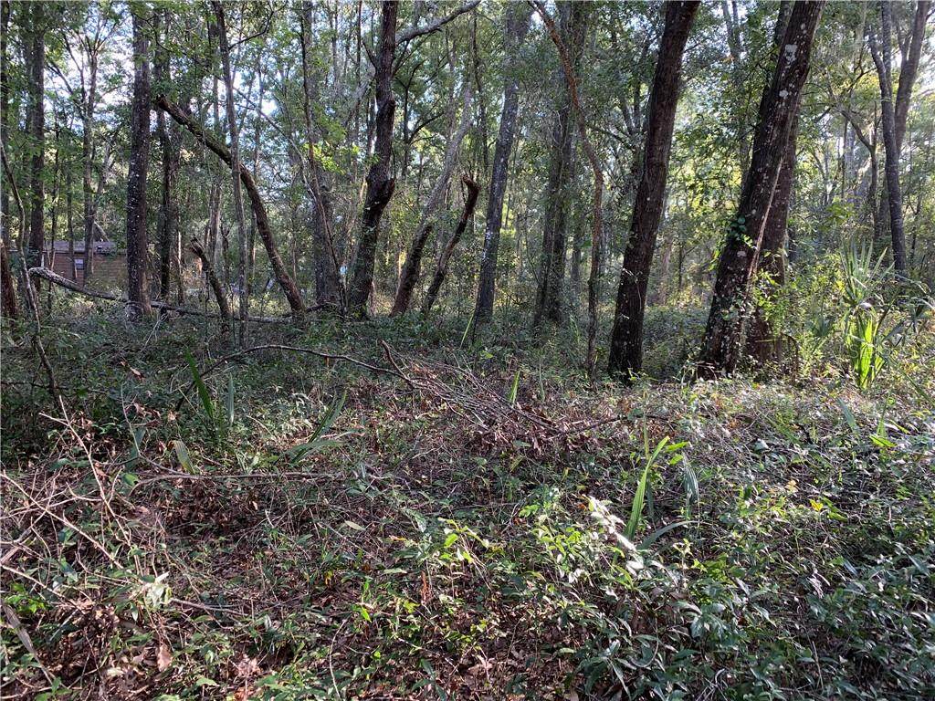 0 Ne 223Rd Lane - Photo 1