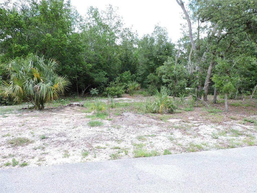 0 Chaucer Drive - Photo 1