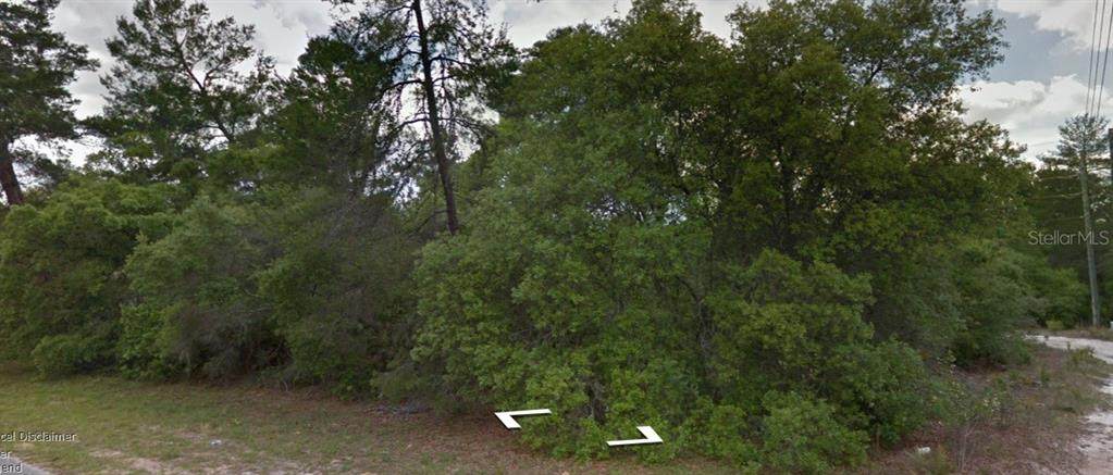 Sw 35Th Court Road - Photo 1