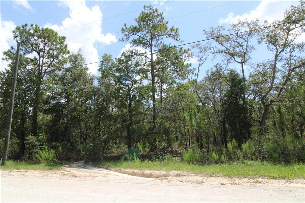 0 Grackle Road - Photo 1