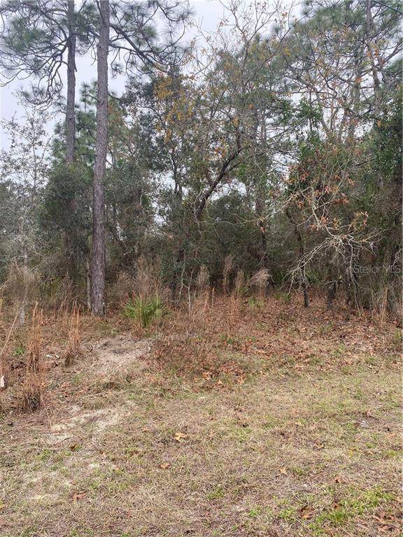 0 Dotted Wren Avenue - Photo 1