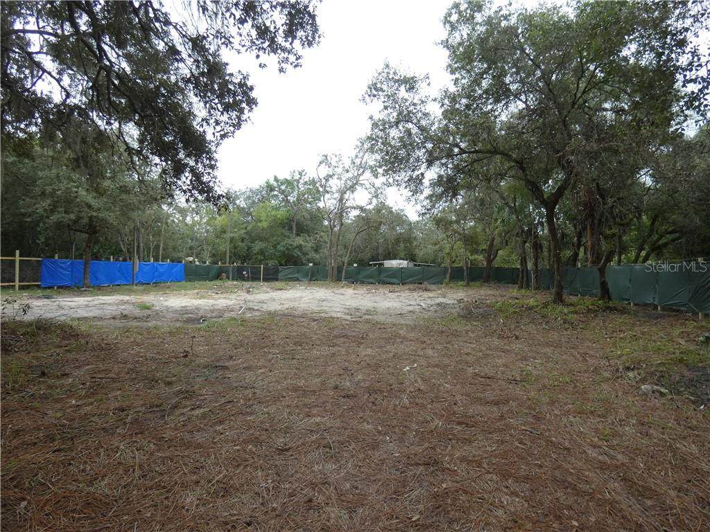 10502 Atlee Street - Photo 1
